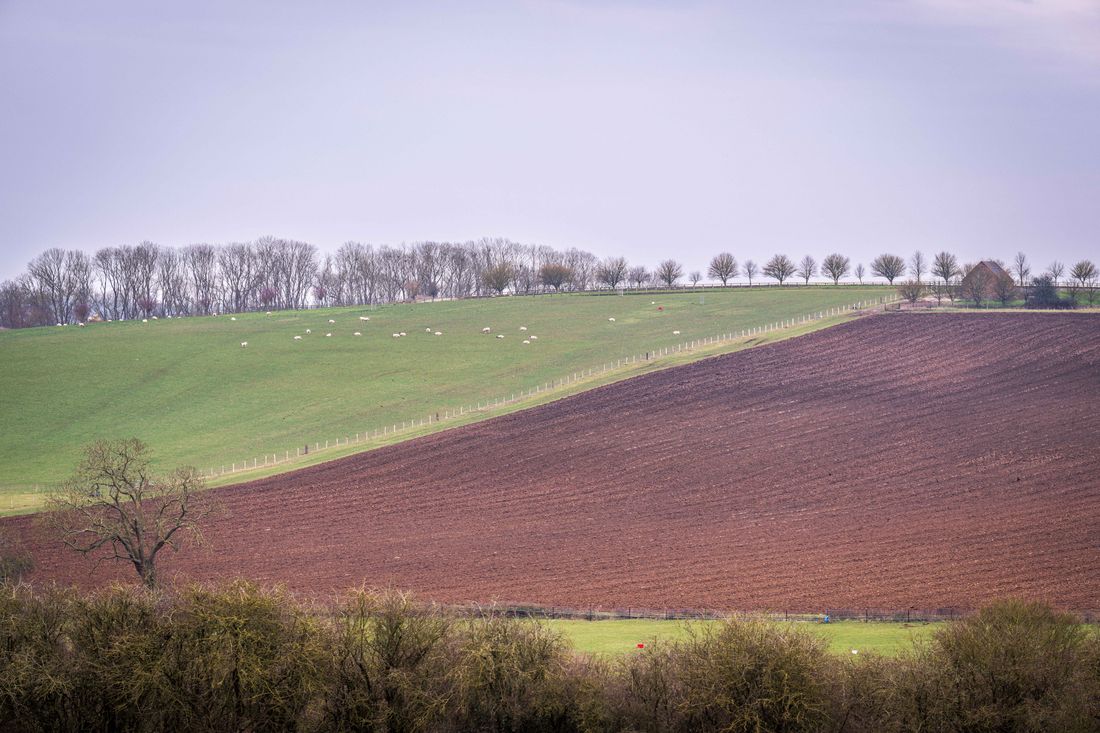 Frankfort countryside
