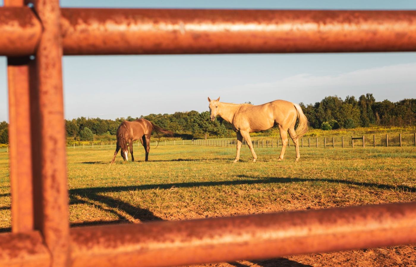 Kentucky countryside