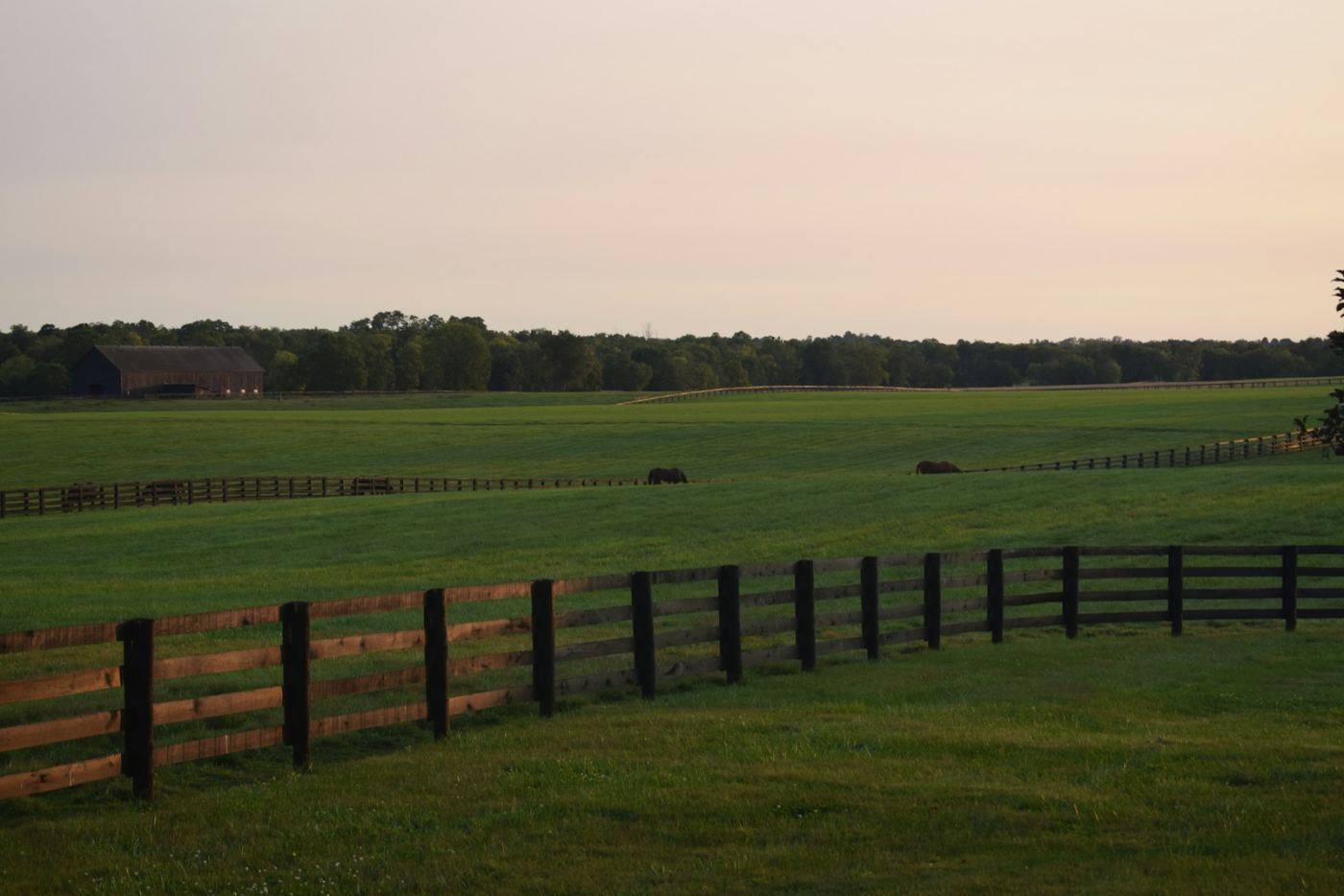 Horse farm, Lexington